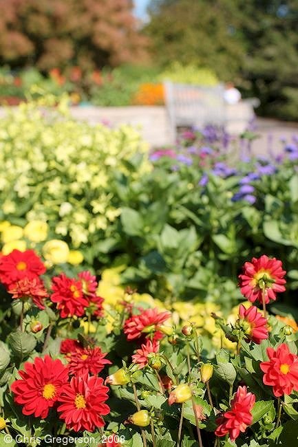 Best Flower Gardens In Minnesota at Jamal Loving blog