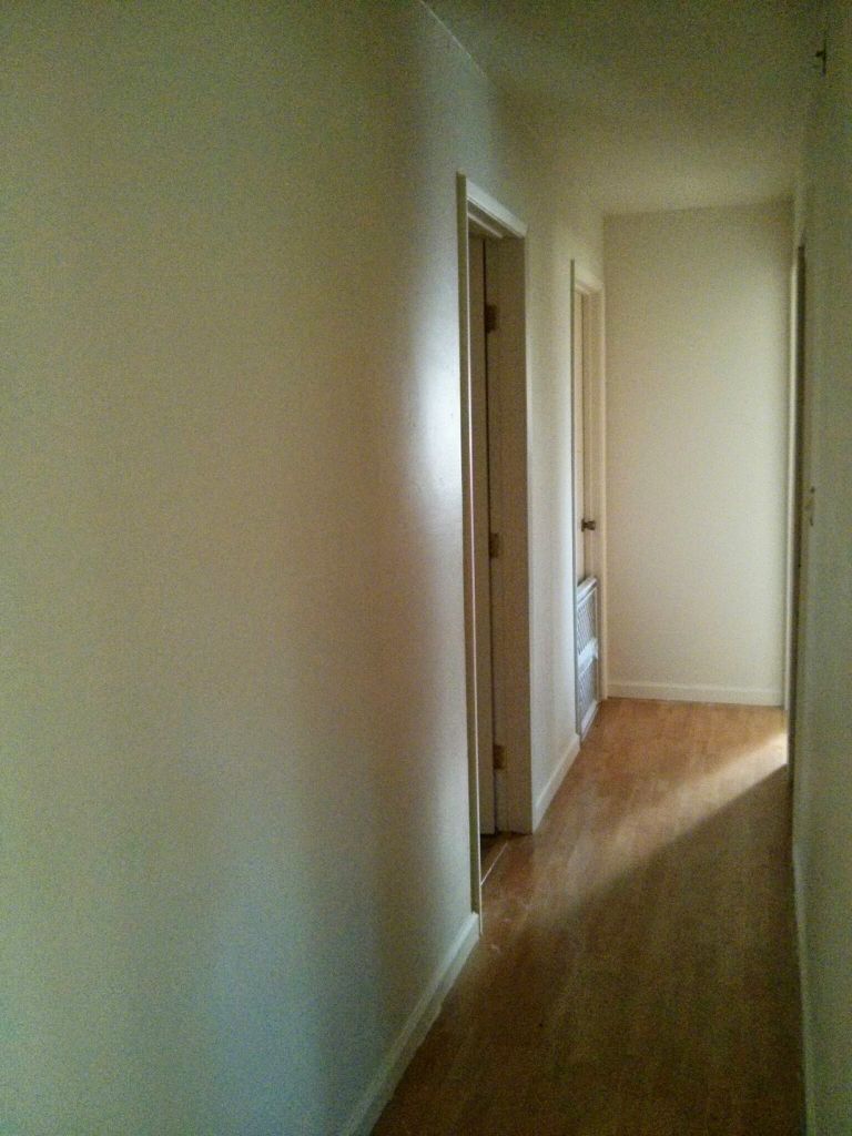 The Paint Project Continues