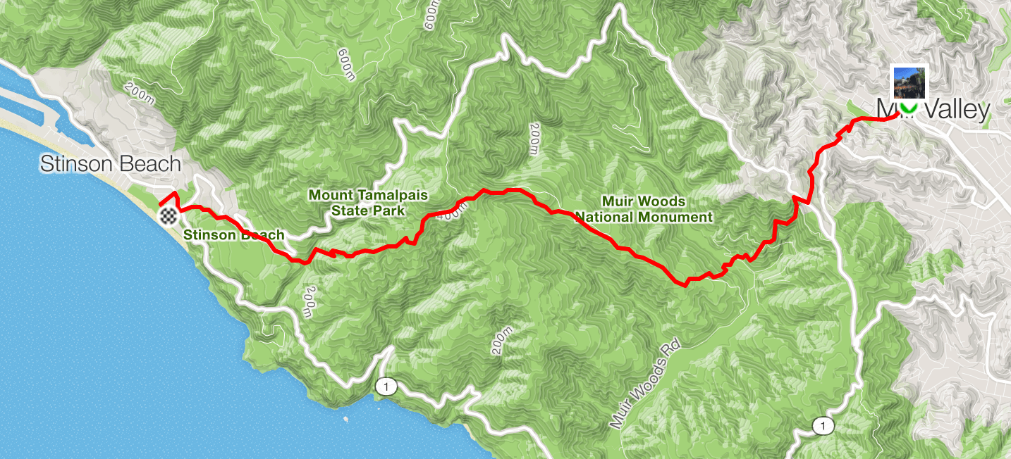 Race Report Dipsea 2018 Greg Kroleski