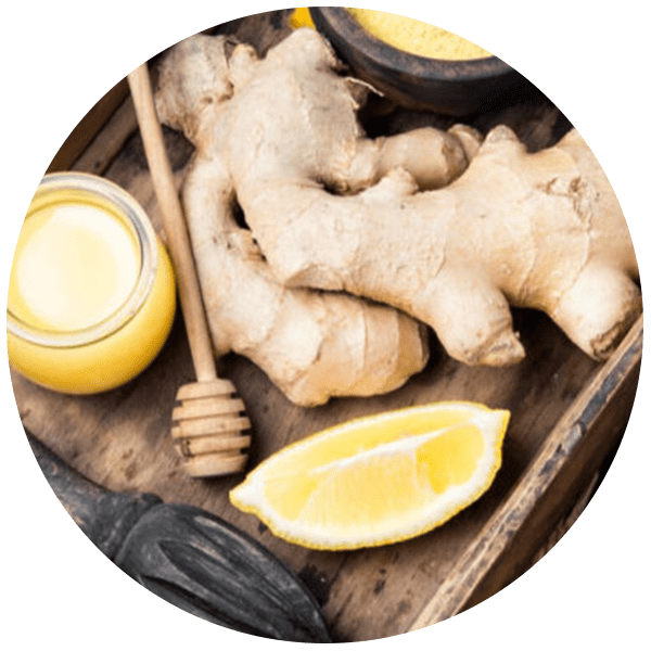 Ginger Powder Grenera Nutrients