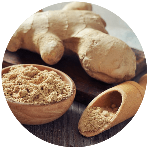 Ginger Powder Grenera Nutrients
