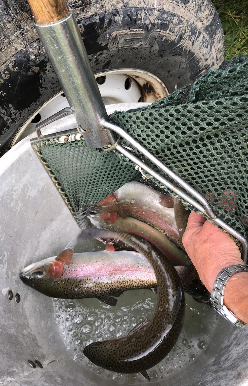 Gresham Angling Society The eight miles of rivers offer a huge