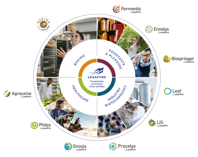 Top 10 Nutraceutical Startups Innovating the Industry GreyB