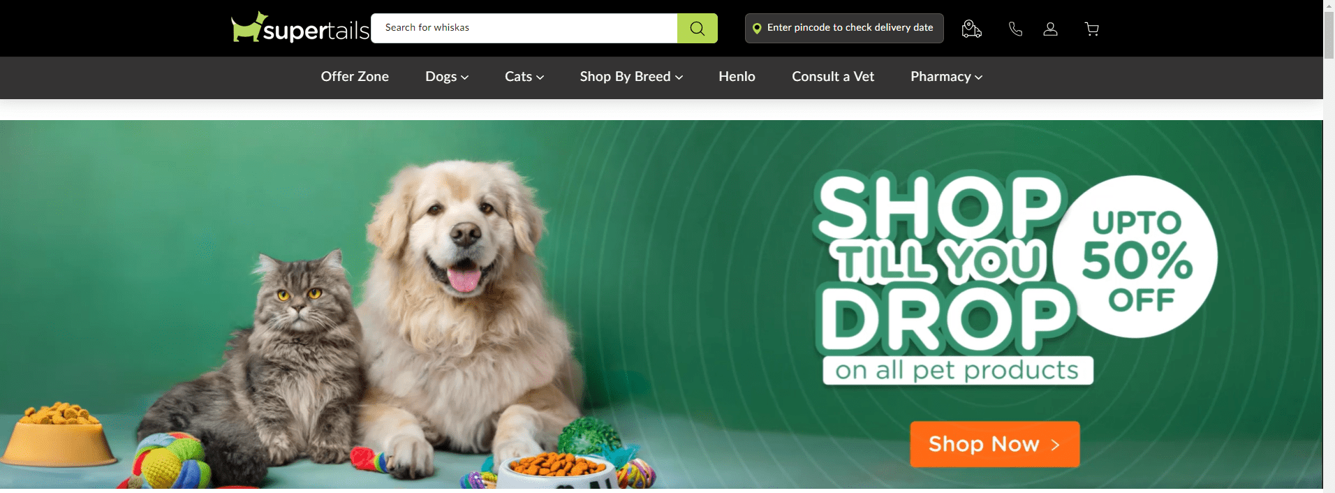 Pet Startups That Are Changing Pet Care in 2024