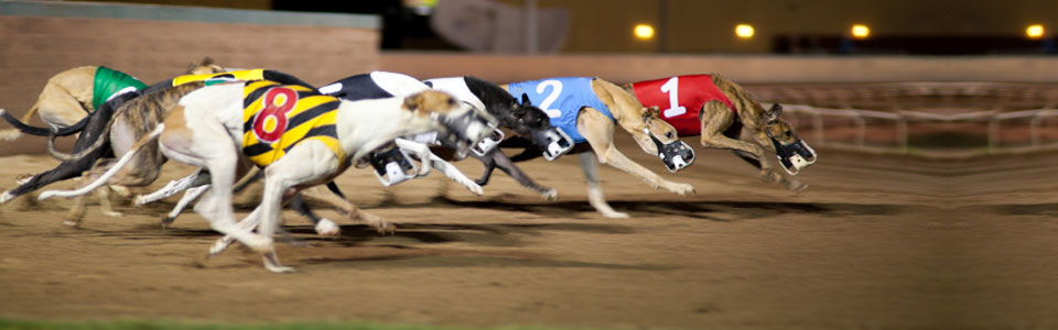 Great Yarmouth Greyhound Racing Stadium