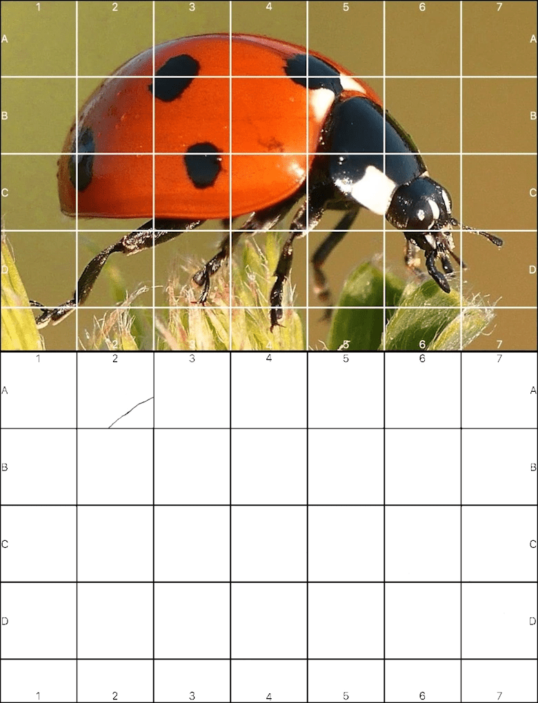 GriDraw + Free Online Grid Drawing Tool, Transparent Grid Overlay For