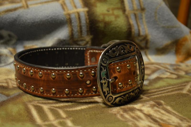 CattleDogCollars