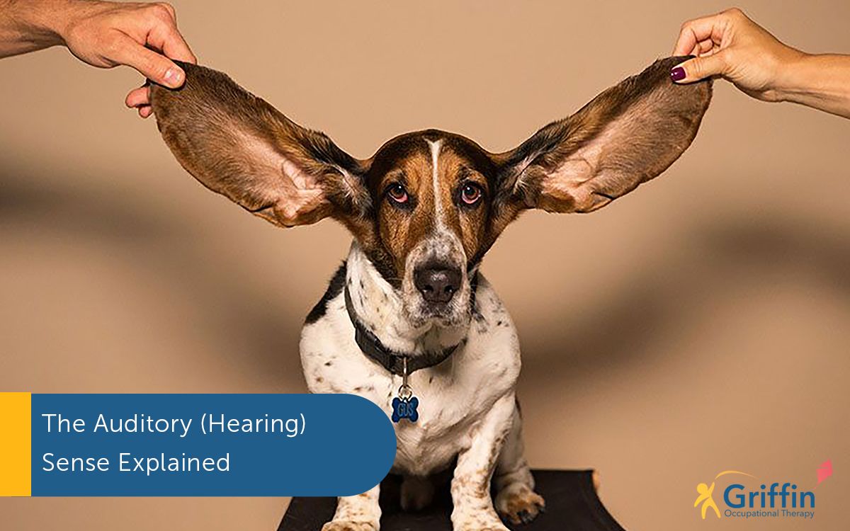 Sensory Processing Disorder and the Hearing Sense GriffinOT