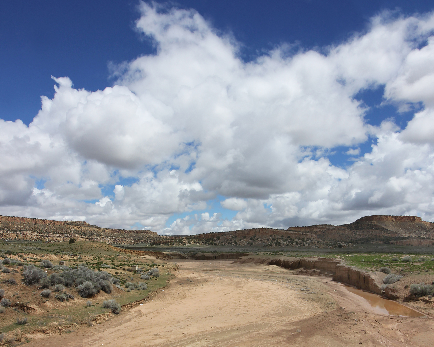 Nuclear landscapes Griffith Review