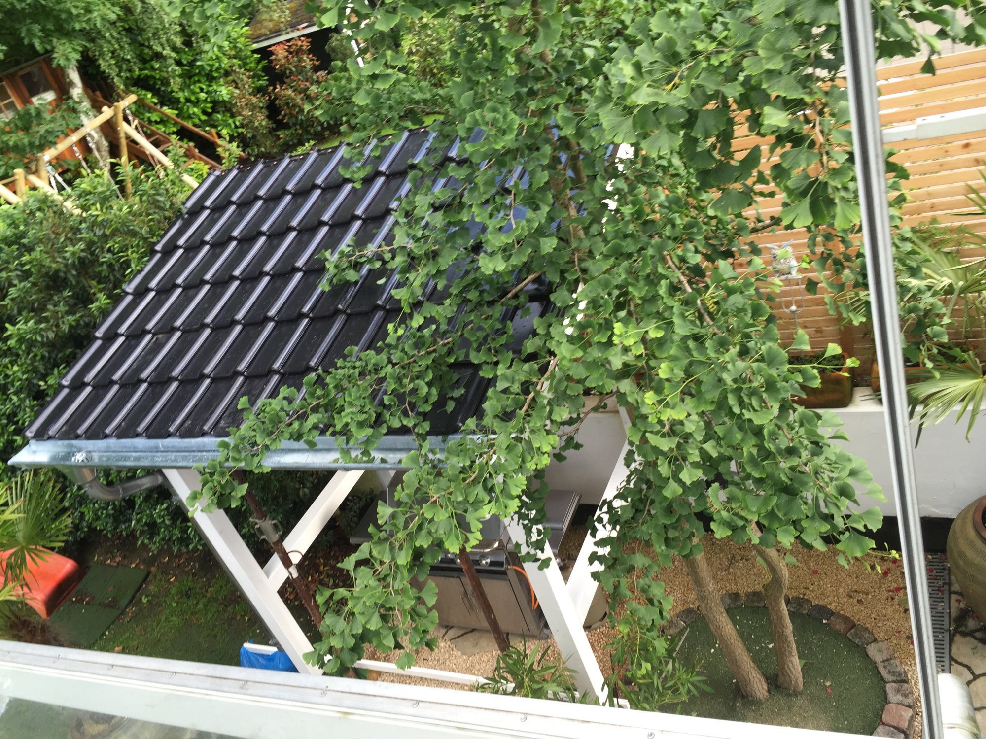 Grillüberdachung | Grillforum und BBQ - www.grillsportverein.de