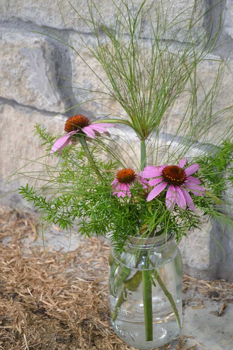 How to Cut Garden Flowers For Floral Arrangements Country Floral Design Grimm's Gardens