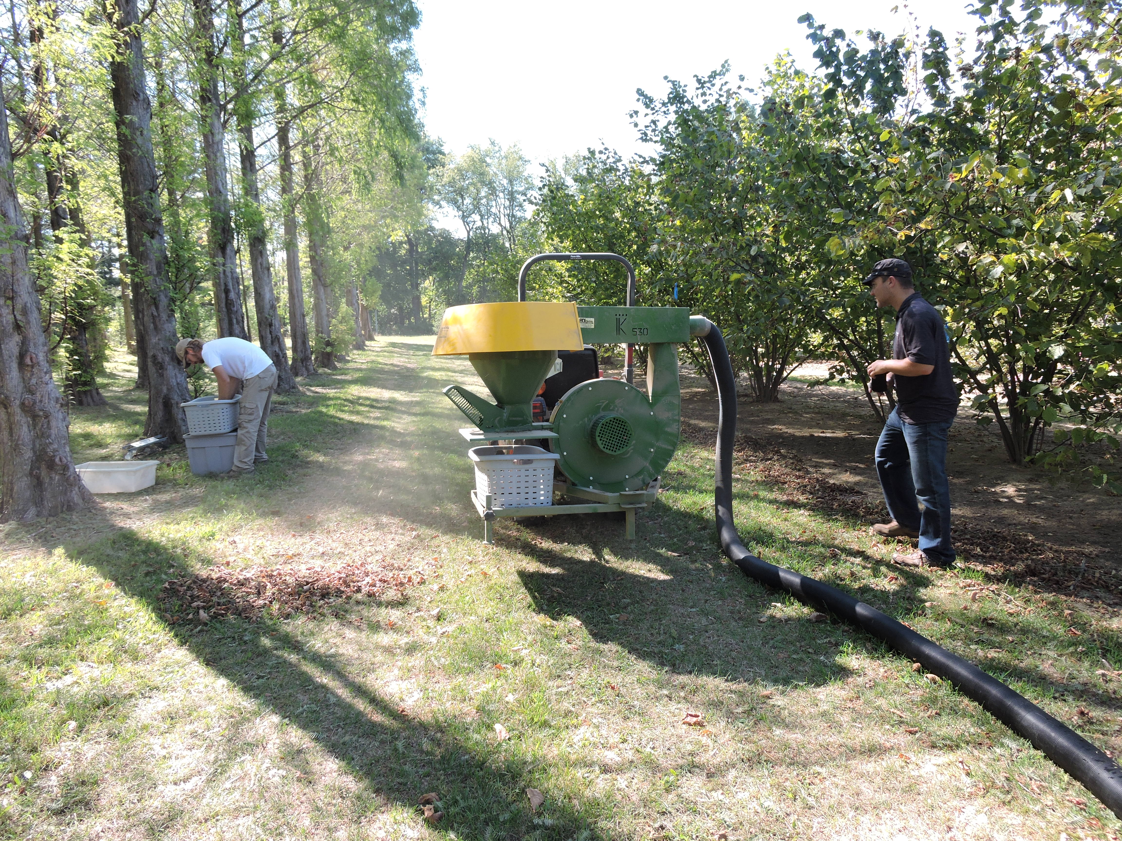 Hazelnut Orchards Grimo Nut Nursery