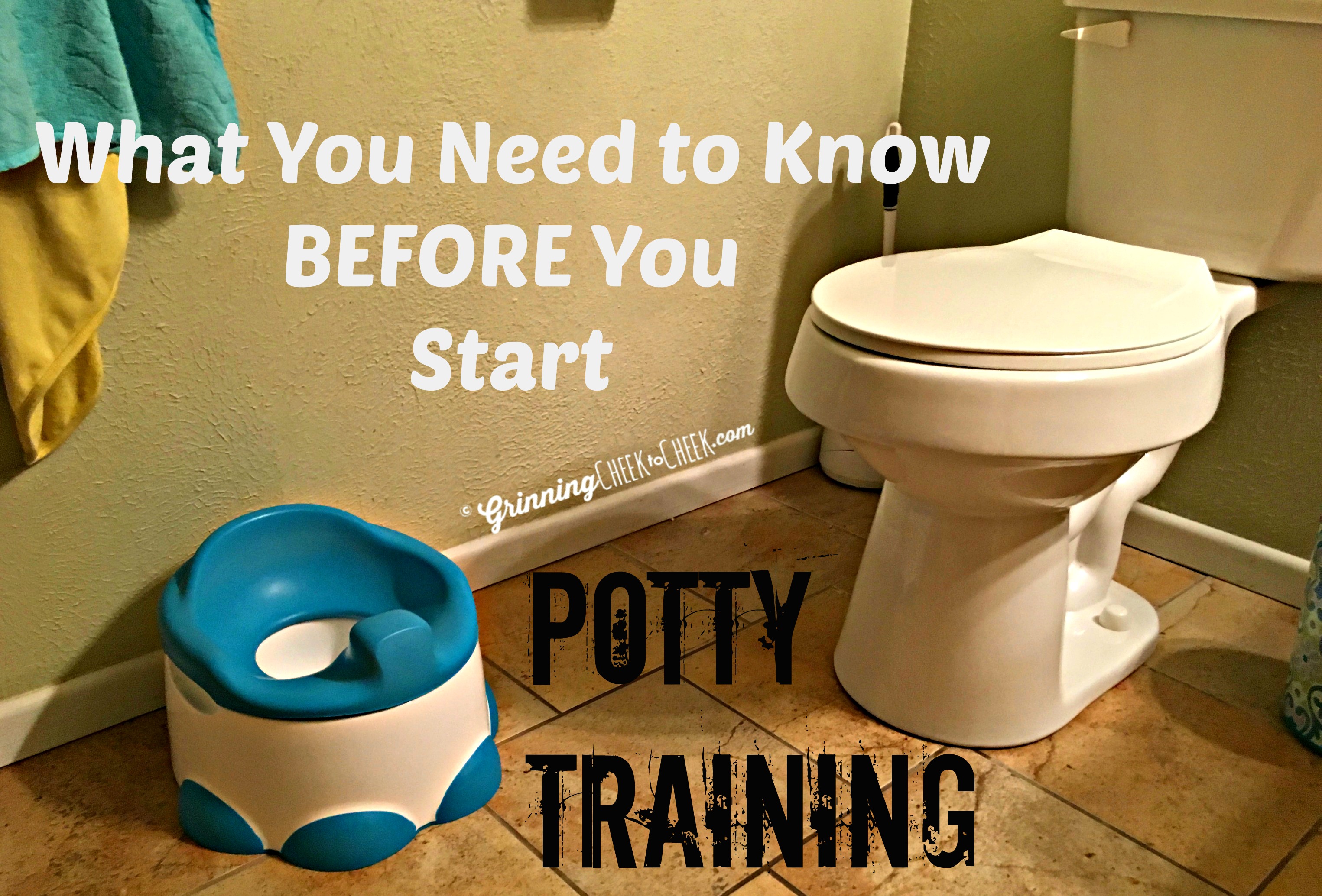 Potty Training Tips What You Need to Know Before Potty Training 