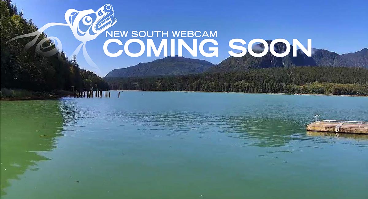 Knight Inlet Lodge webcams and weather widget. Check out the view!