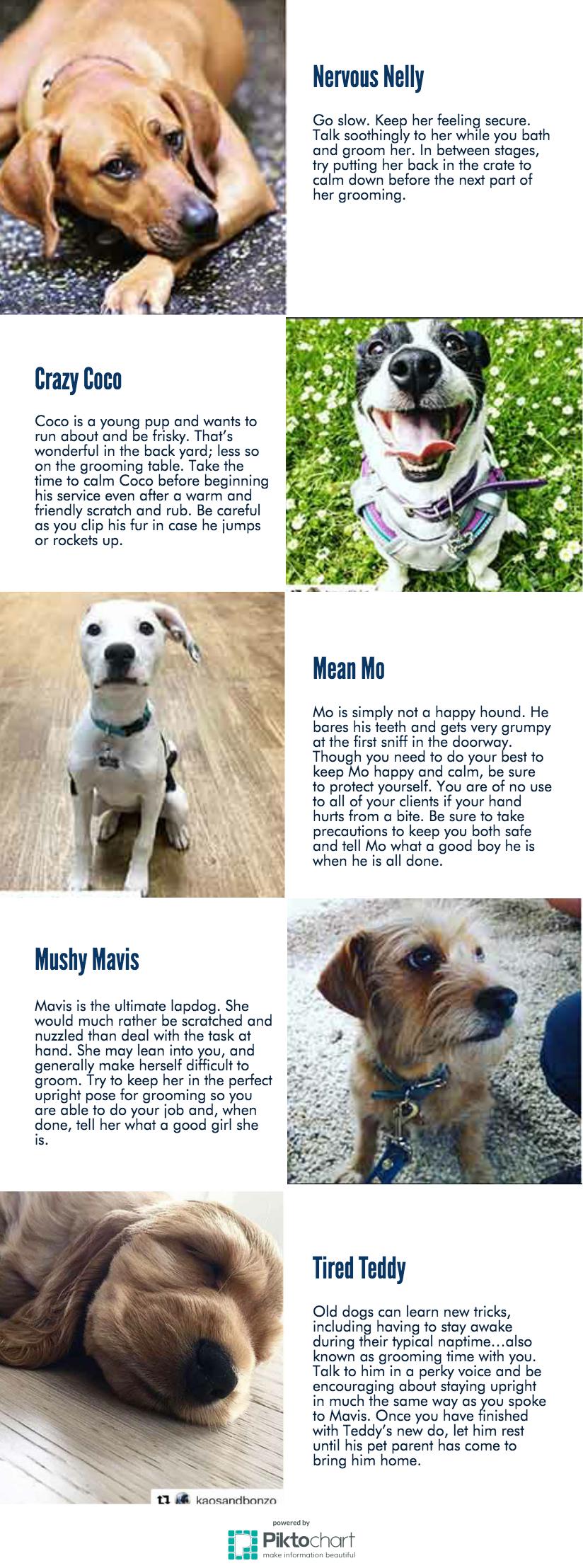 How Do Groomers Calm Dogs