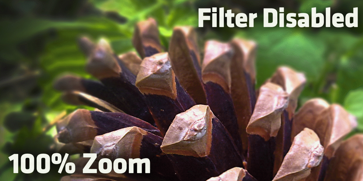 Oil Paint Filter in CS6 Adds Awesome Effects