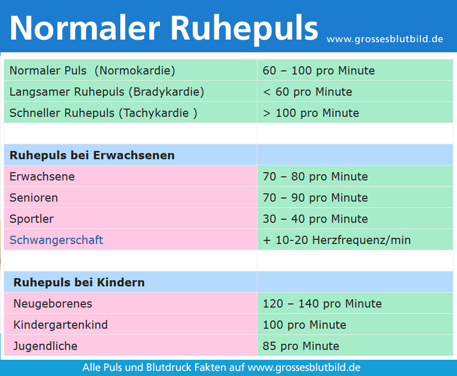 Was ist der Ruhepuls » Erhöhter oder Niedriger Ruhepuls » Dr.Stephans
