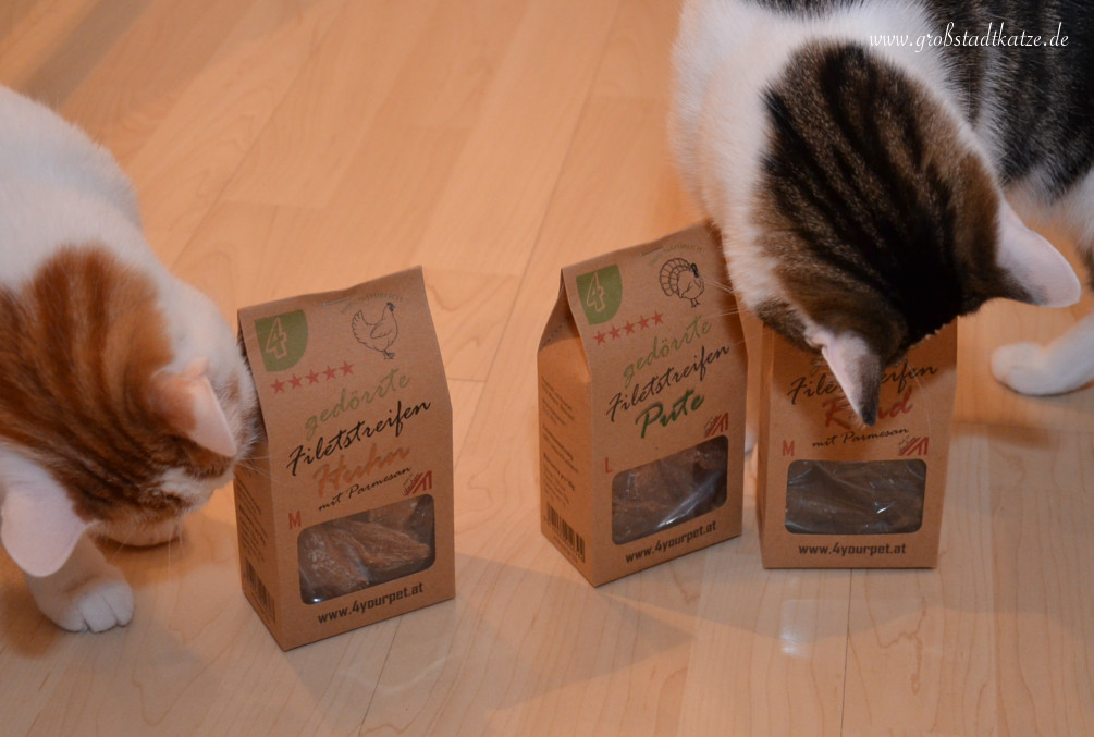 Dörrfleisch Zahnpflege Katzen Zähneputzen