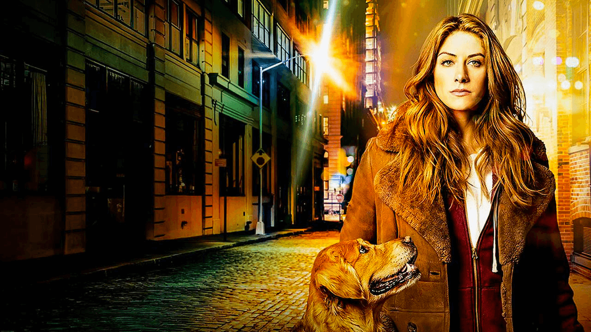 How To Watch In The Dark Grounded Reason