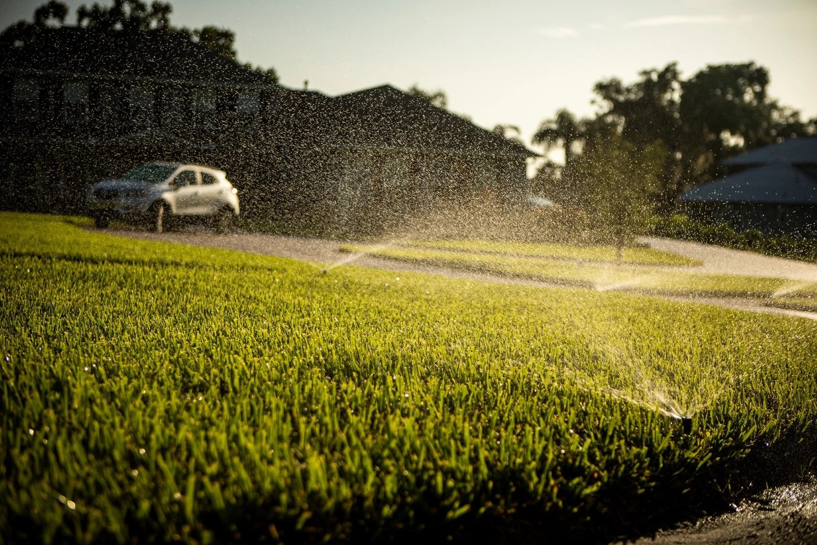 The Best Time to Run Irrigation for Grass & Landscaping in Florida