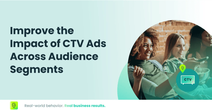 A Guide To Evaluating CTV Advertising Platform - VDO.AI Blogs
