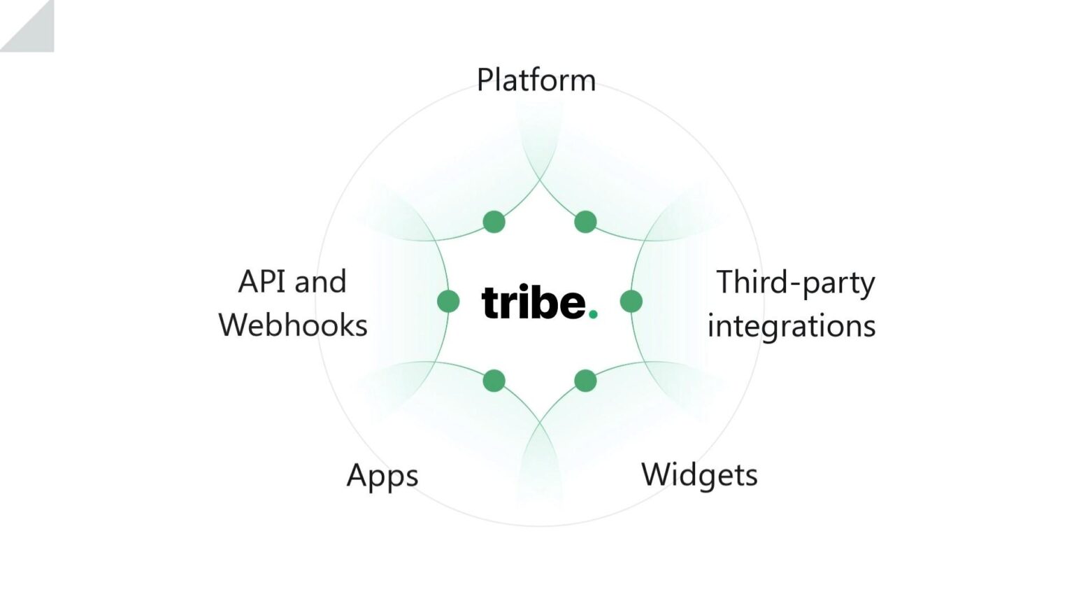 Ultimate Tribe.so review Features, pricing, and alternatives