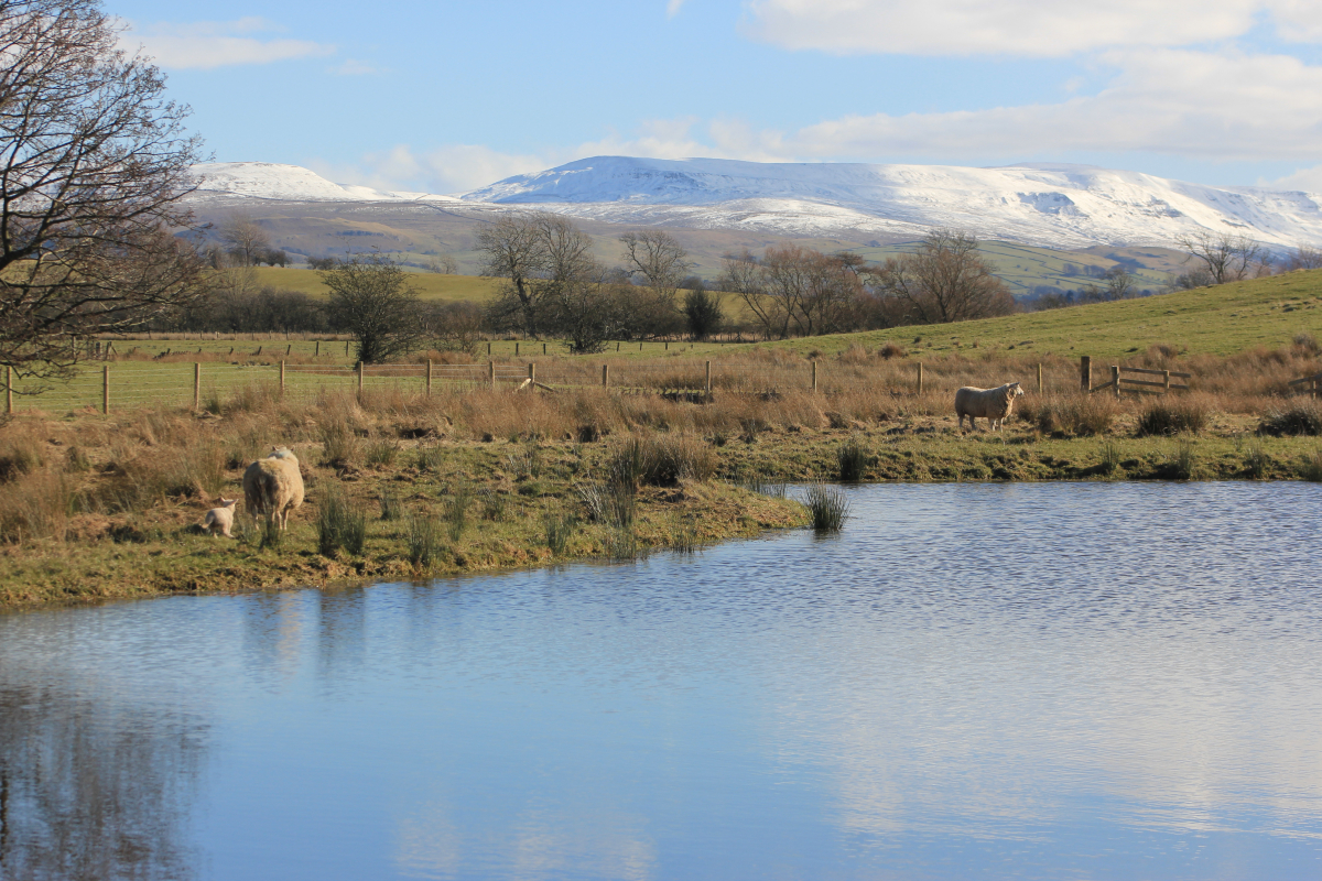 Coolclogher House Luxury holiday house, Co Kerry