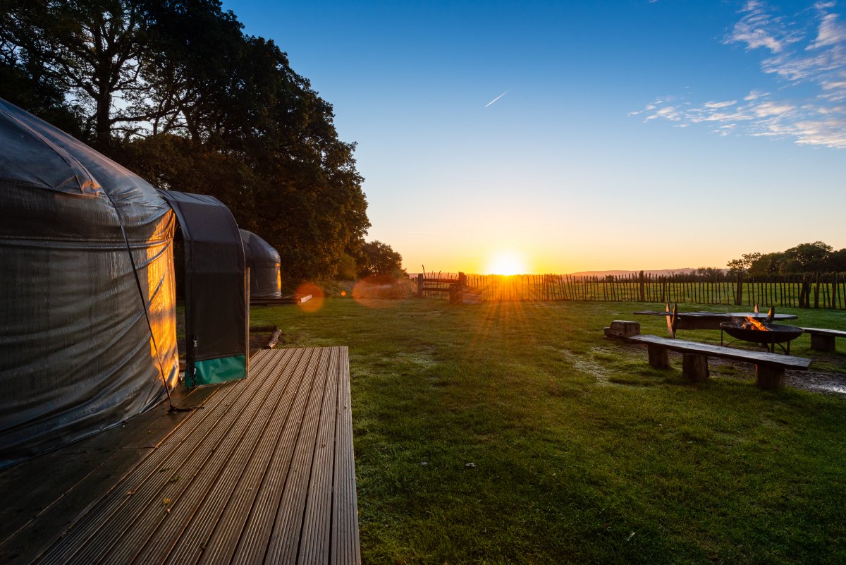 Stock Gaylard Estate Luxury glamping site, Dorset