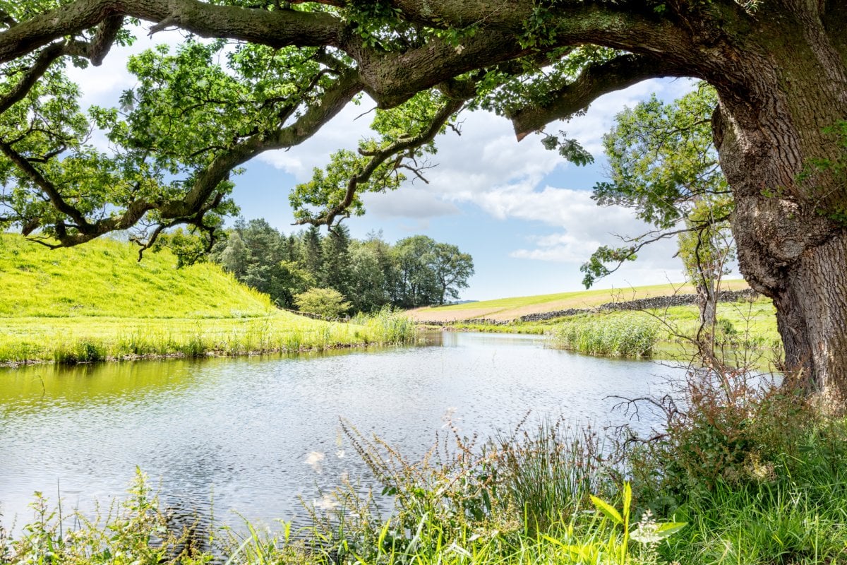 Casterton Grange Estate Holiday houses, Cumbria