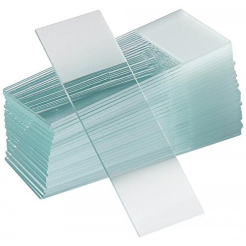 Microscope Slide Plain 10's Group BM Solutions