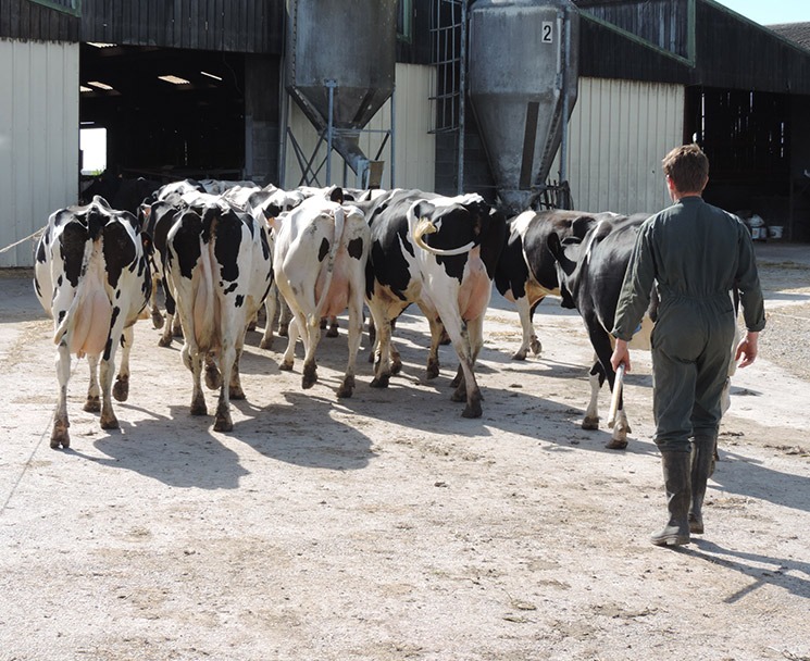 BTS Agricole ACSE en formation à distance ESA Angers
