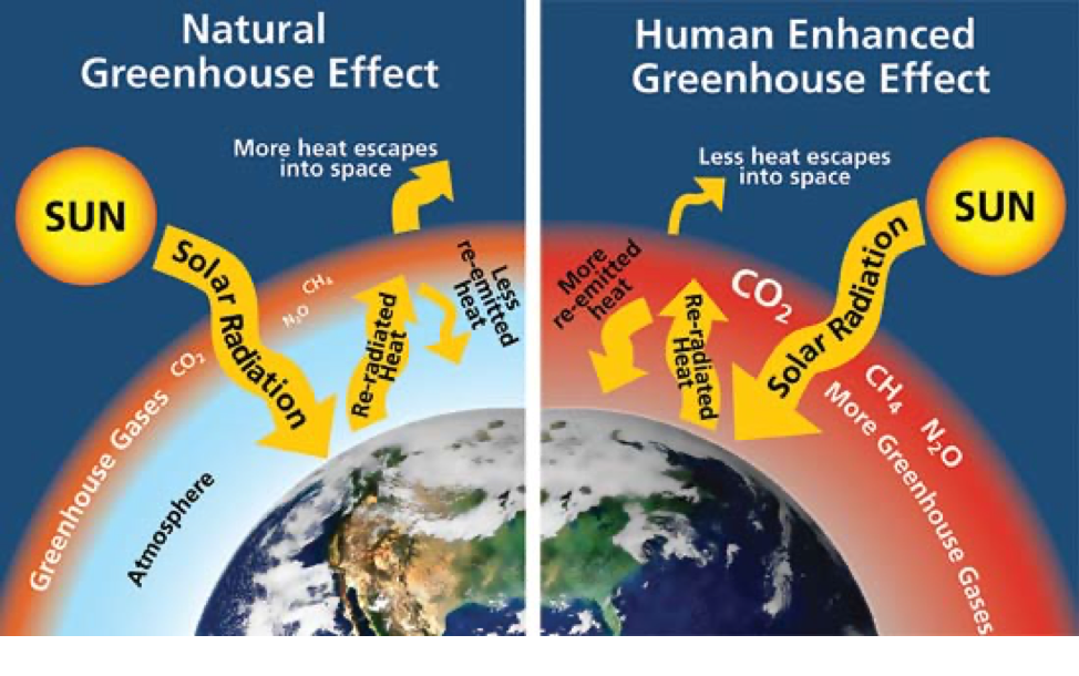 All About Greenhouse Gases Grove Carbon