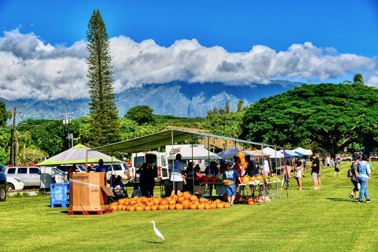 Grove Farm Newsletter October Edition Grove Farm