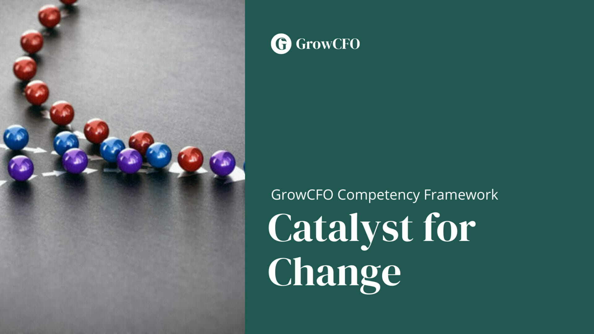 Catalyst for Change GrowCFO Competency Framework(03)