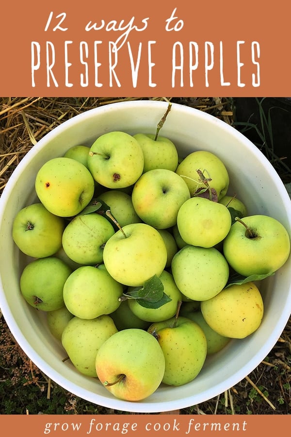 Preservation Of Apples Chemistry Labs