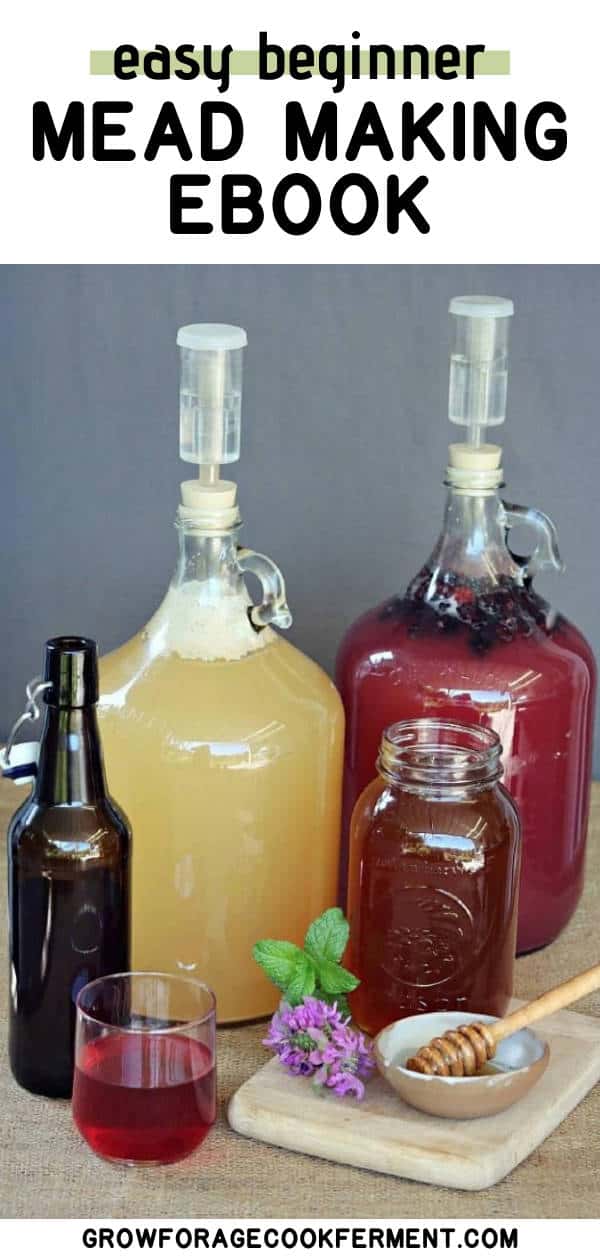 Simple Mead Making A Beginner's Guide to One Gallon Batches