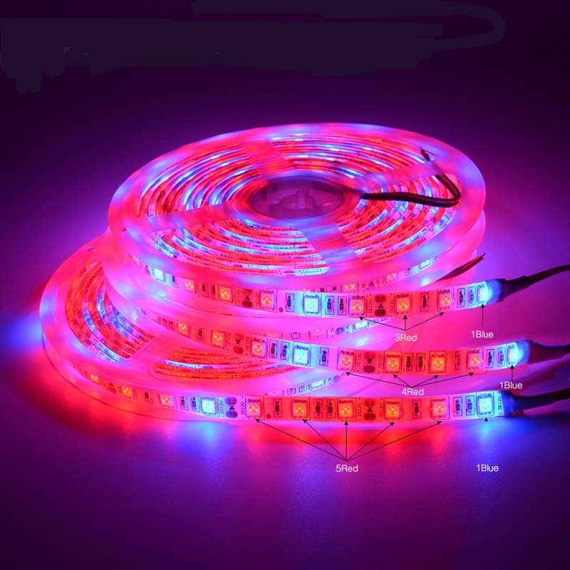 LED Red and Blue Grow Strip Lights Growing in My Box