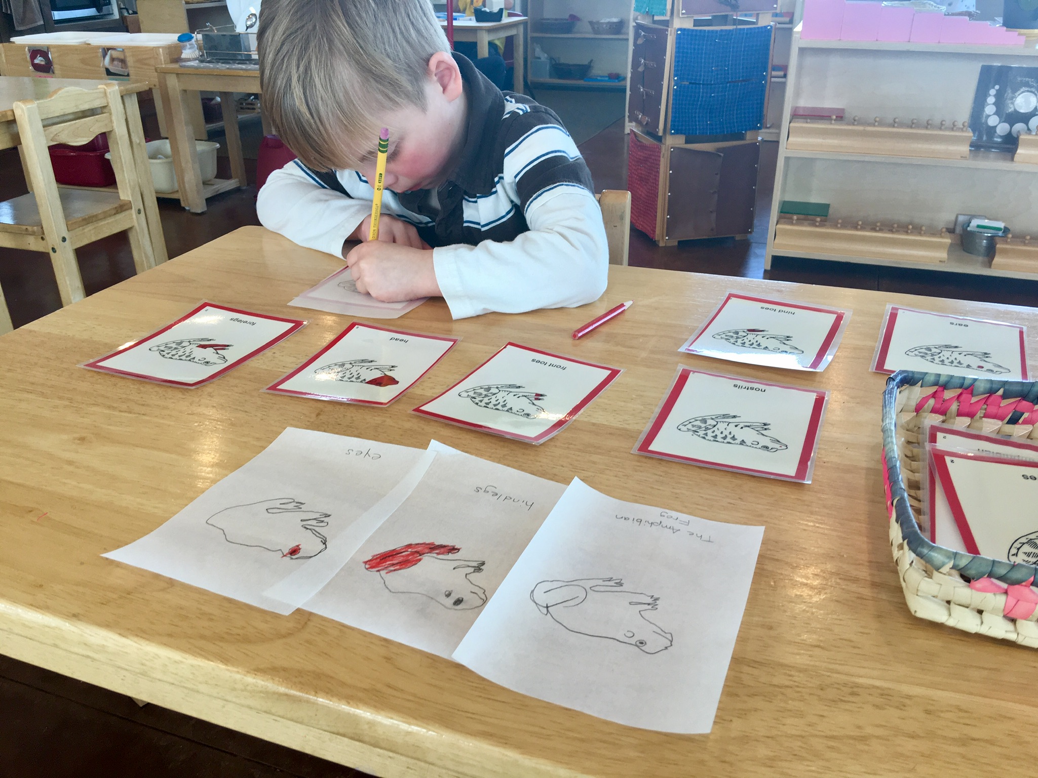 Growing Light Montessori School