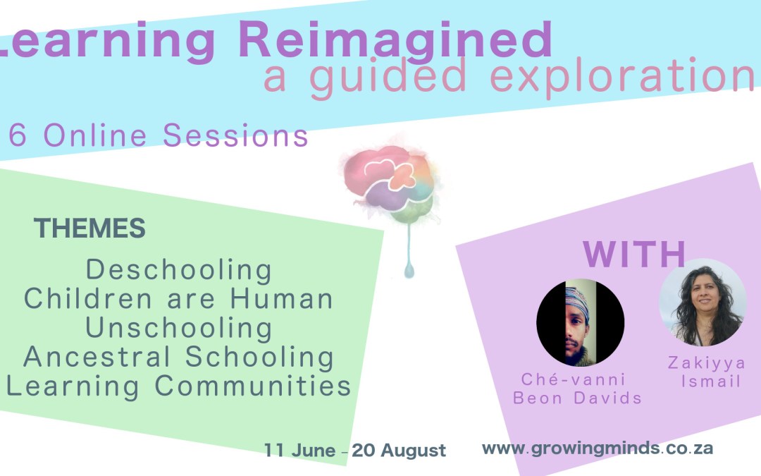 Learning Reimagined: Online Guided Exploration