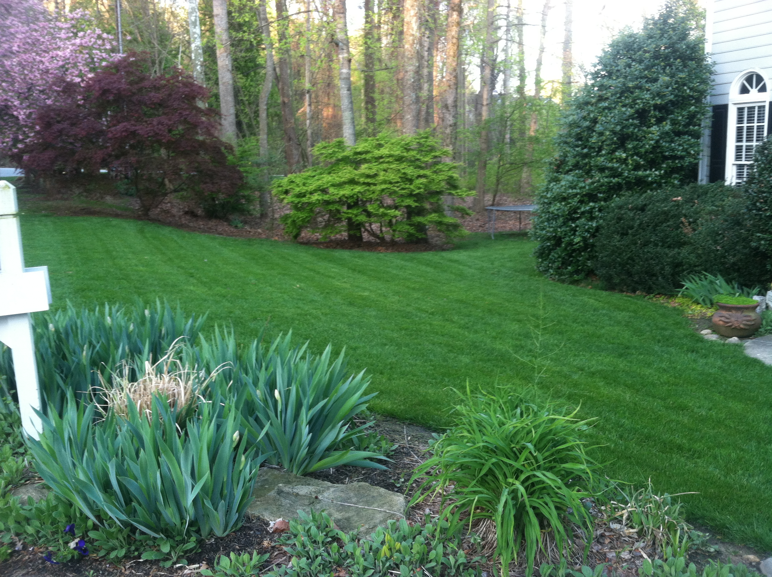 GrowinGreen's Seven Steps To a Beautiful Lawn GrowinGreen