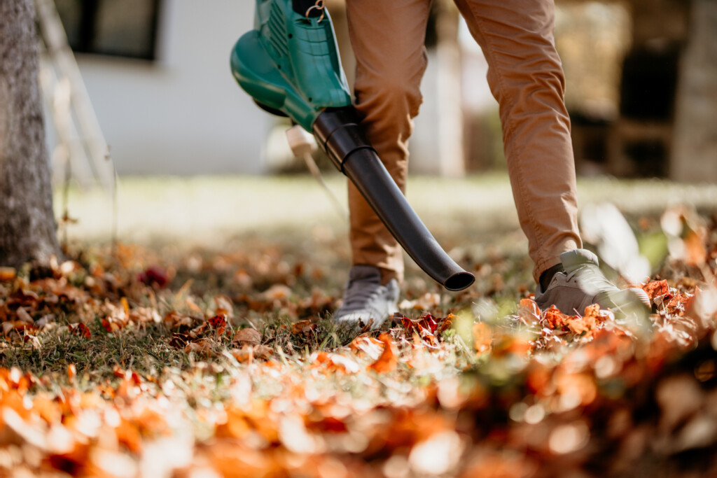 Landscaping Marketing Strategies to Remember During Fall and Winter