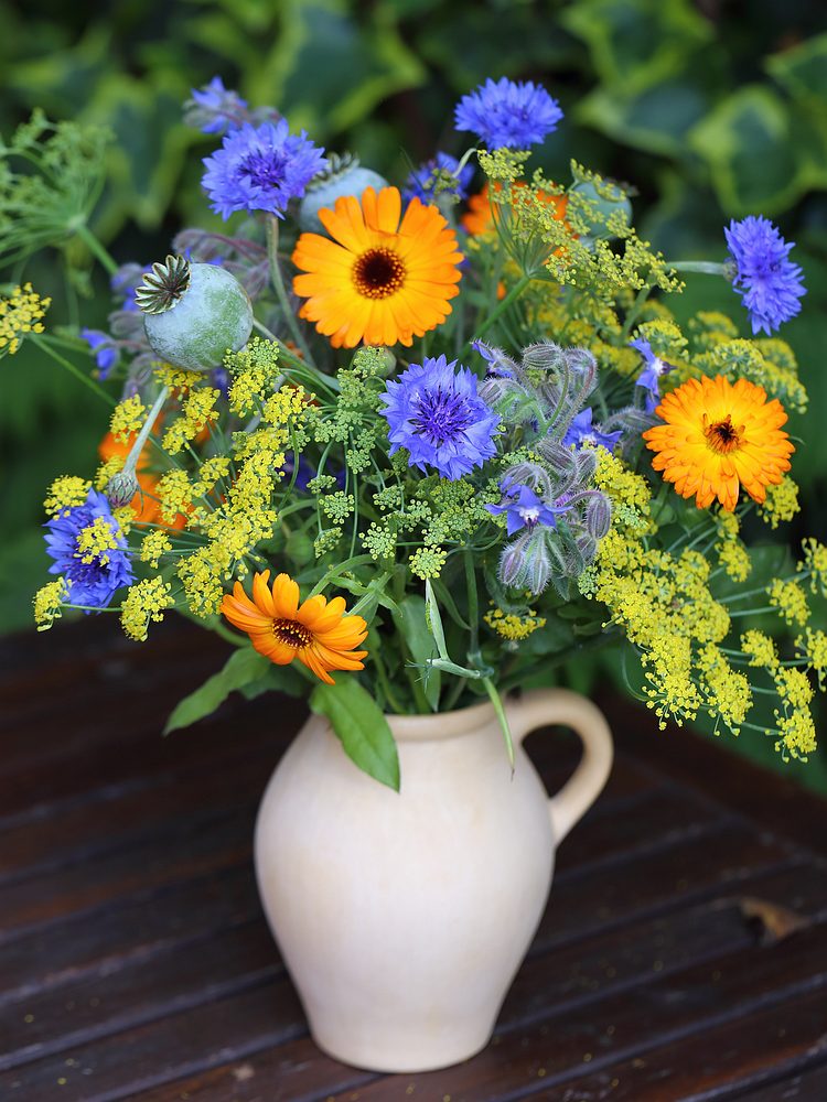 Seasonal bouquet/ edible edition grown to cook