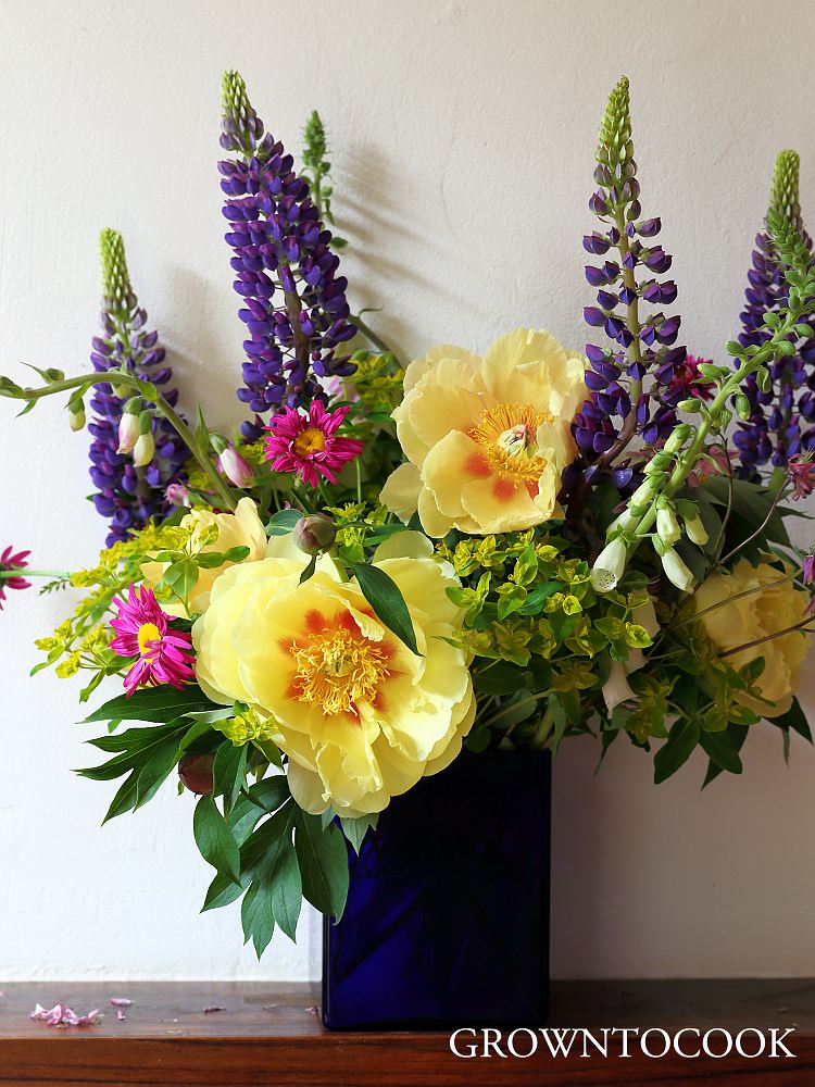 Seasonal flowers early June grown to cook