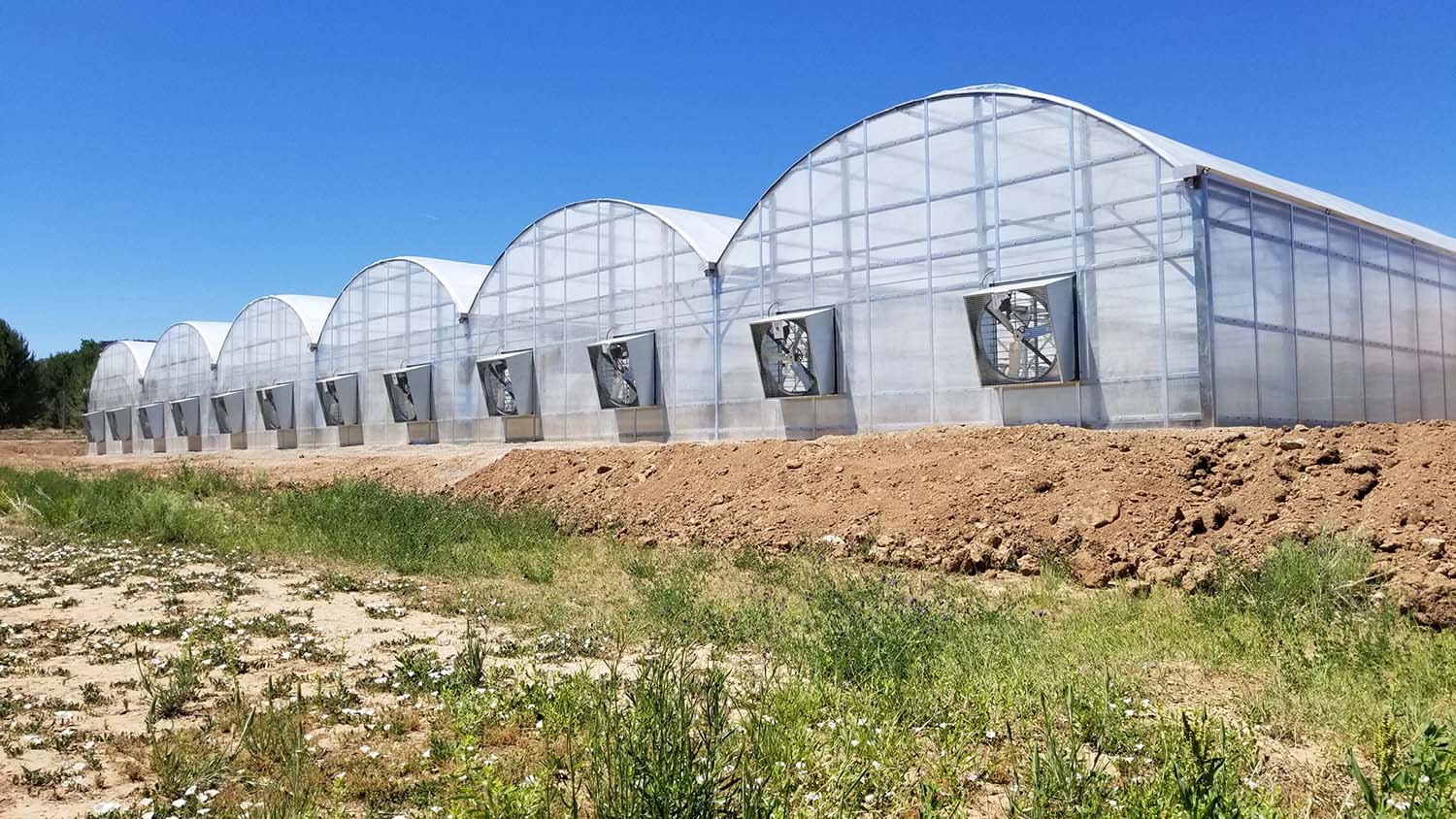 The Summer Sun is Overheating Your Greenhouse, Here’s How to Cool it