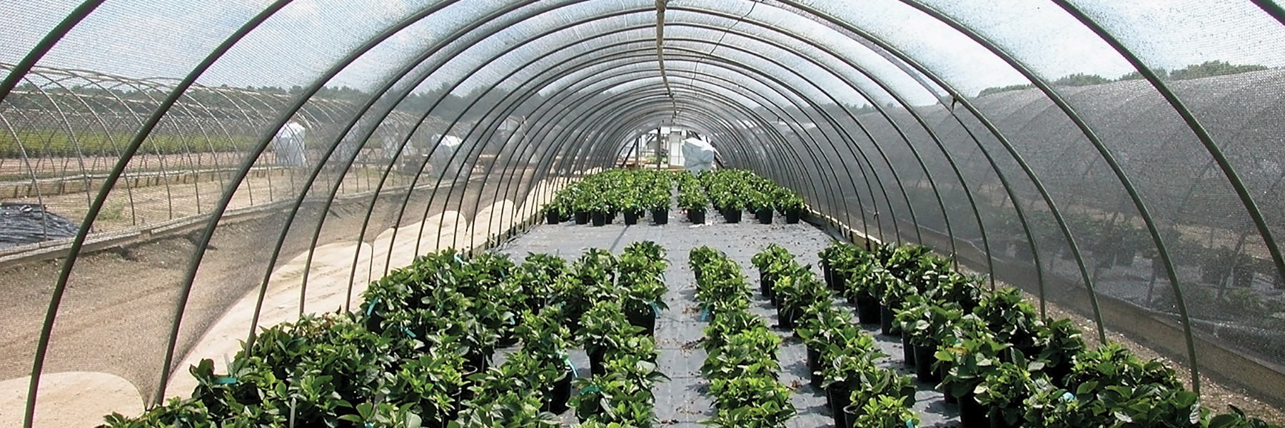 Round Cold Frames GrowSpan