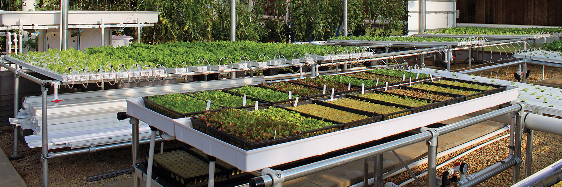 Microgreen Systems GrowSpan