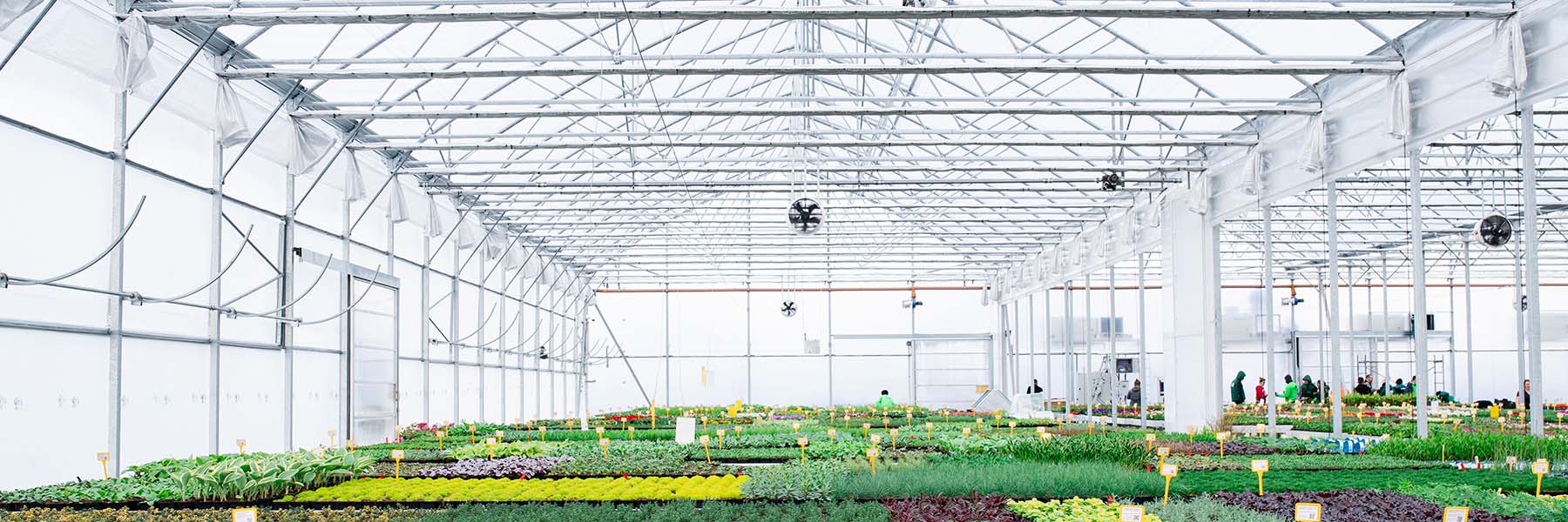 Retail & Nursery Greenhouses GrowSpan