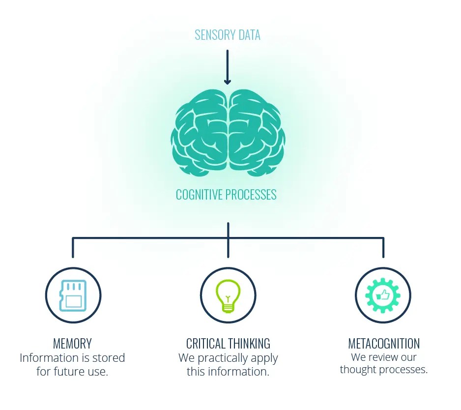 Cognitivism: Your Guide to Cognitive Learning Theory - Growth