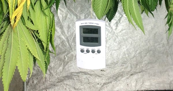 Best Grow Room Controller Reviews of 2020 GrowYour420