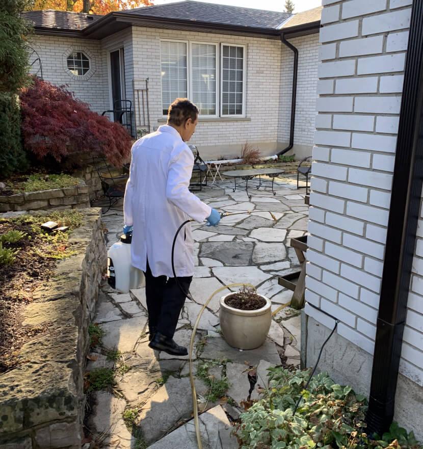 Grand River Pest Control Kitchener, Waterloo, Cambridge
